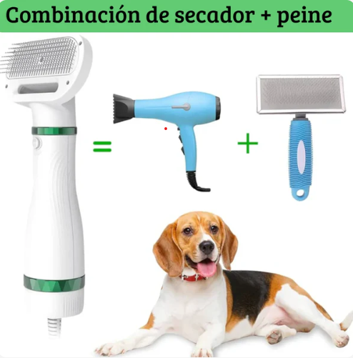 Cepillo-Secador
