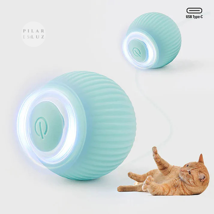 PlayCat®