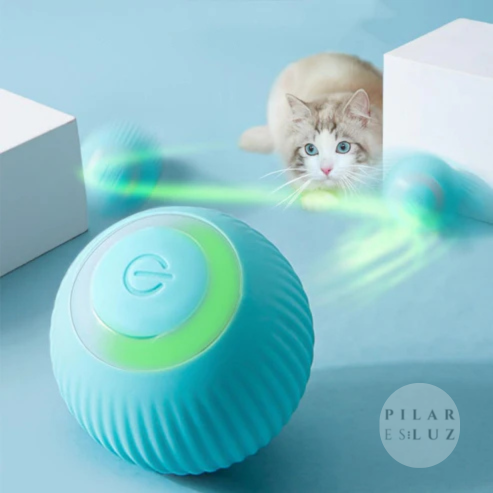 PlayCat®