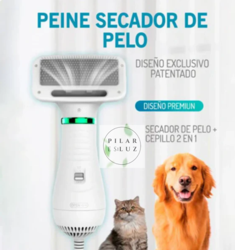 Cepillo-Secador
